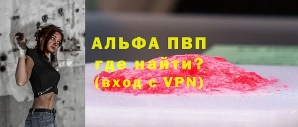 молекула духа Каменногорск