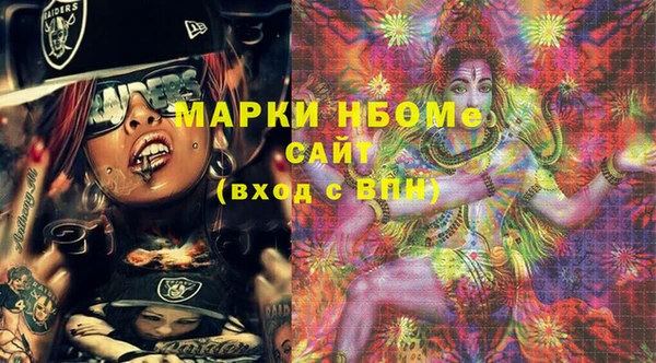 хмурый Инта