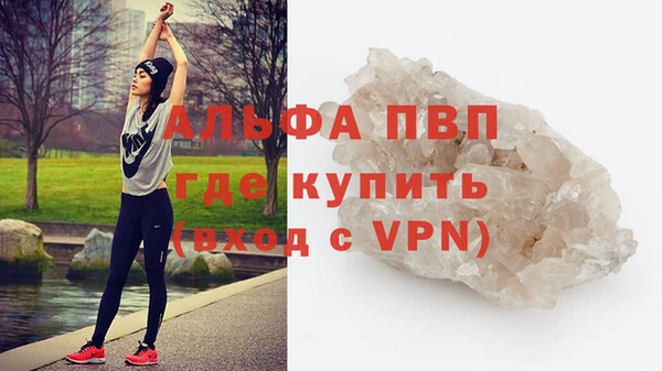 молекула духа Каменногорск