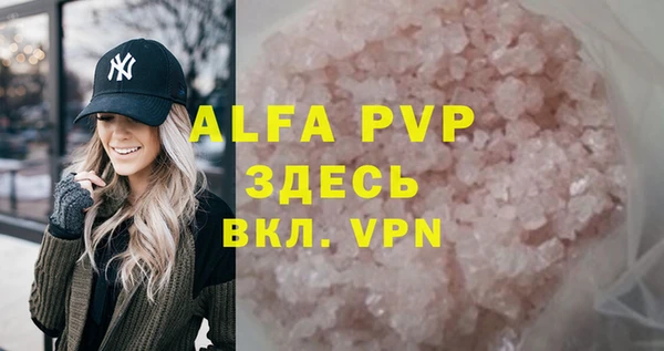 хмурый Инта