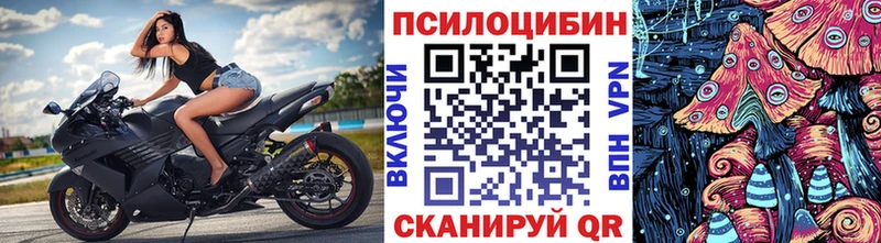 купить наркоту  Ессентуки  Псилоцибиновые грибы ЛСД 