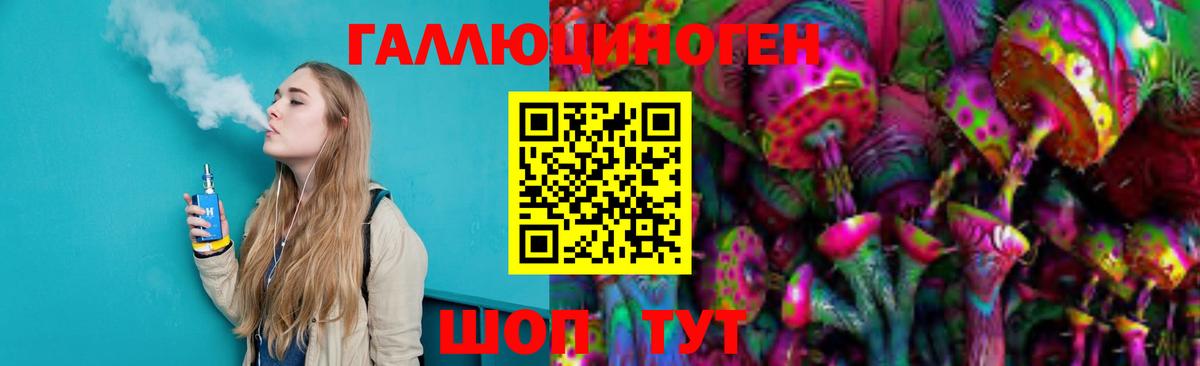 Галлюциногенные грибы Psilocybine cubensis Ессентуки