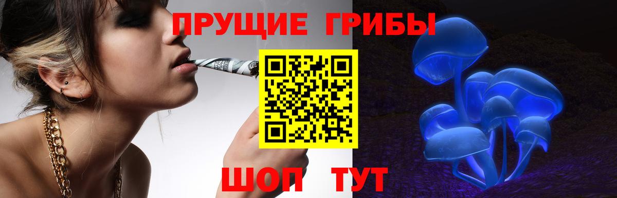 Ессентуки  Галлюциногенные грибы Psilocybe  Вход с VPN 